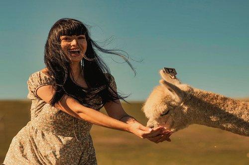 carousel-hero-element image-3